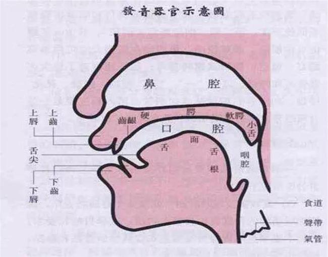 小孩發(fā)音不清楚的原因是什么？